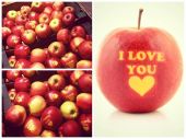 Valentīna dienā Rimi tirgo „I love you” ābolus